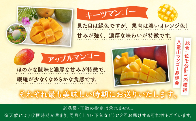 定期便 5回 2026年 先行予約 パイナップル マンゴー 旬果便 農園ファイミール 果物 フルーツ お楽しみ 031-a011_2026
