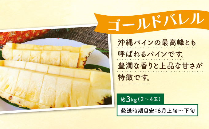 定期便 4回 2026年 先行予約 パイナップル 旬果便 農園ファイミール パイン 4種 果物 フルーツ 031-a012_2026
