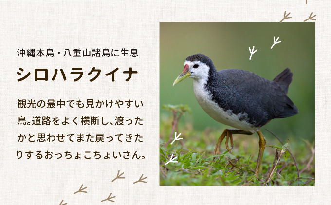 ビームパリ窯　シロハラクイナシリーズ　マグカップ黒 口径約9cm、高約8cm