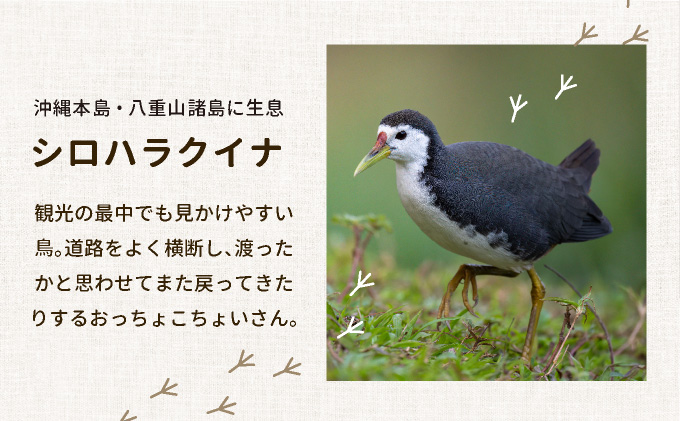 ビームパリ窯　シロハラクイナシリーズ　マグカップ白 口径約9cm、高約8cm