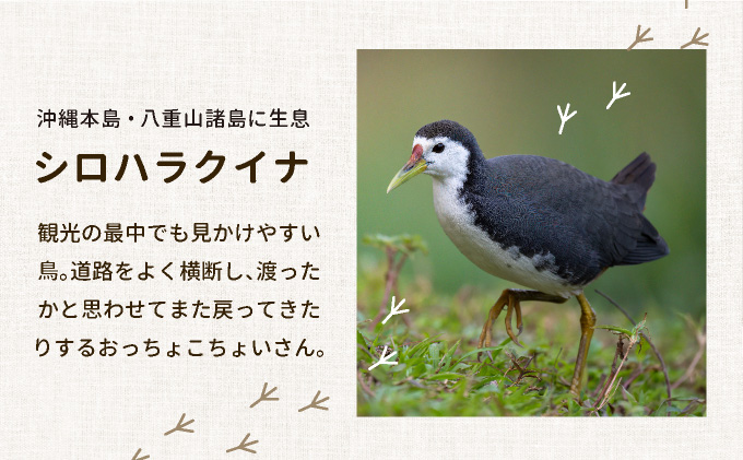 ビームパリ窯　シロハラクイナシリーズ　湯呑（そば猪口）黒 口径約8.5cm、高約6cm