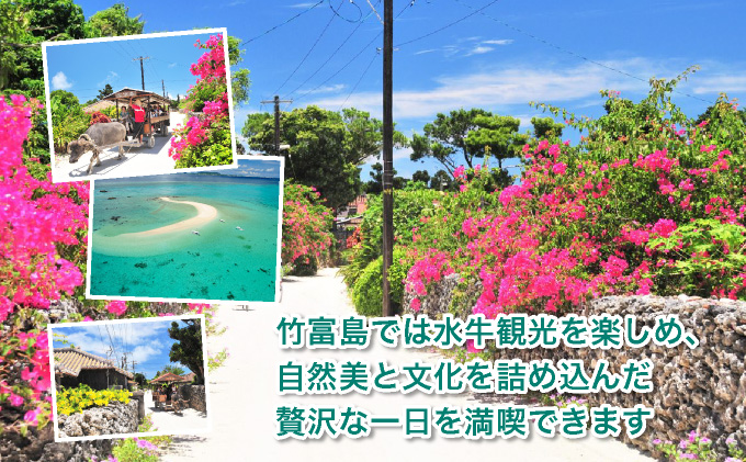 幻の島上陸＋シュノーケリング+竹富島観光ツアー　～珊瑚やカラフルな魚の中をシュノーケリング＜1日／昼食付き／市街地送迎／石垣島発＞【 旅行 体験チケット観光 大自然 体験ツアー 観光 沖縄 アクティビティ シュノーケリング 】071-a001