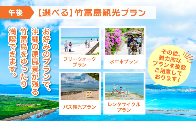 西表島キャニオニング（5～10月）または滝トレッキング（11～4月）＋選べる竹富島観光ツアー ＜指定ホテル送迎選択可／石垣島発＞【 旅行 体験チケット観光 大自然 体験ツアー 観光 沖縄 アクティビティ キャニオニング トレッキング】071-a004