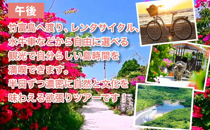 西表島マングローブSUPクルーズ＋選べる竹富島観光ツアー＜指定ホテル送迎選択可／石垣島発＞【 旅行 体験チケット観光 大自然 体験ツアー 観光 沖縄 アクティビティ SUP】071-a005