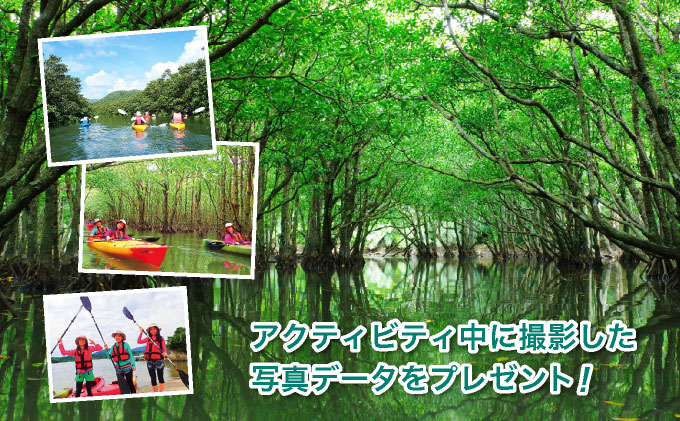 西表島マングローブカヌーツアー　～亜熱帯の自然を半日で満喫　嬉しい昼食付き！＜指定ホテル送迎選択可／石垣島発＞【 旅行 体験チケット観光 大自然 体験ツアー 観光 沖縄 アクティビティ カヌー】071-a007