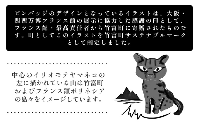 竹富町公式サステナブルマークピンバッジ【グリーン】（マグネットタイプ）｜大阪・関西万博フランス館イリオモテヤマネコ像