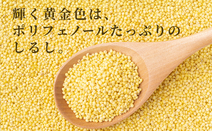 沖縄県波照間島産　日本最南端の島から贈る『もちきび』400g×1袋　とんちぇ農園（農薬・化学肥料不使用） [076-a001]