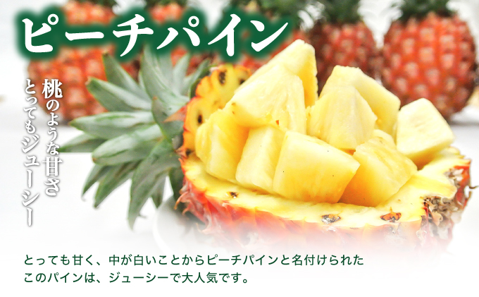 ☆アララガマ農園の定期便☆アララガマ農園のパイナップルを3種とアップルマンゴーを4回に分けてお届け