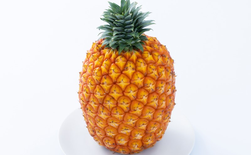 パイナップル ゴールドバレル 約6kg 4～8玉 パイン 果物 フルーツ 沖縄 西表島【TOK:iふぁーむ】配送不可：離島