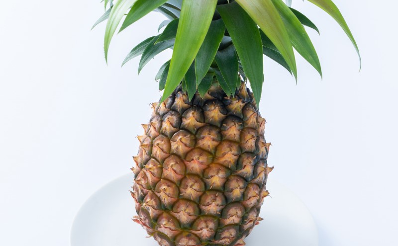 パイナップル ピーチパイン 約5kg 4～8玉 パイン 果物 フルーツ 沖縄 西表島【TOK:iふぁーむ】 配送不可：離島