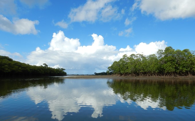 西表島マングローブビーチクリーン＋滝とカヤック・トレッキング 1名様