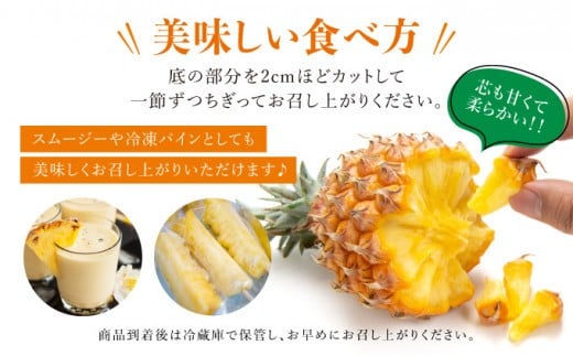 知名度NO.1！糖度が高く真っ黄色な新感覚パイン☆　ちぎって食べるスナックパイン4kg（4～10玉） 約4kg（4～10玉）