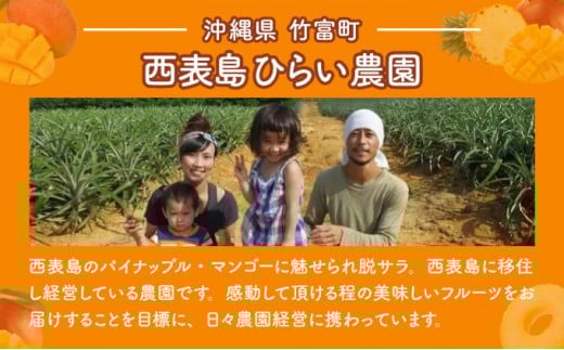 2026年 先行予約 アップルマンゴー 約2.3kg 4～8玉 西表島ひらい農園 マンゴー 果物 フルーツ 約2.3kg（4～8玉）