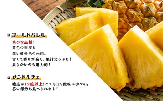 2026年 先行予約 パイン マンゴー セット トロピカルフルーツセット ますみ農園 果物