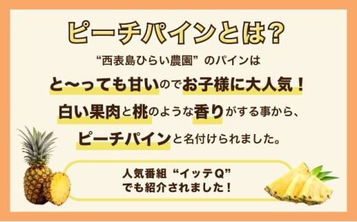 訳あり 不揃い 2026年 先行予約 ピーチパイン 約15kg 16～32玉 "いってＱ"でも紹介された 西表島ひらい農園 濃密 パイン 果物 パイナップル フルーツ