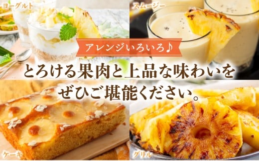 高級感No.1！開発に30年・栽培に3年。パイナップルの最高峰ゴールドバレル1.5kg(1玉) 1.5kg(1玉)