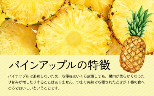 2026年 先行予約 セット 黒糖 完熟 パイン 水鴨農園 西表島産 パイナップル 果物 フルーツ