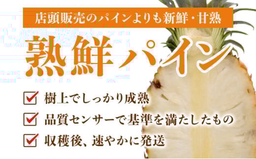 ＜訳あり！＞2026年 先行予約 大きさ不揃い お得！箱にいっぱいピーチパイン4kgセット 約４kg
