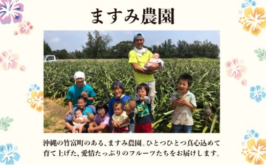 2026年 先行予約 アップルマンゴー 約2kg (3～6玉) 完熟 マンゴー ますみ農園 果物 フルーツ 約2kg（3～6玉）