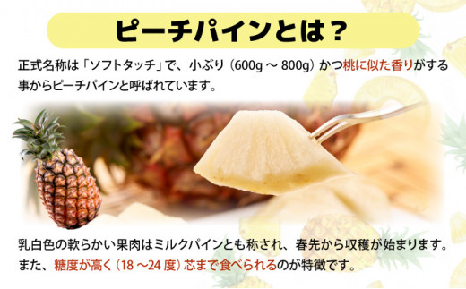 【2026年発送】リピータ続出！西表パイン園の蜜入り ピーチパイン4kgセット