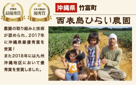 2026年 先行予約 スナックパイン 約2kg 3玉 西表島ひらい農園 パイナップル 果物 フルーツ パイン 約2kg 3玉