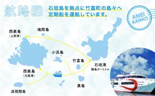 安栄観光 9,000円クーポン券 9,000円