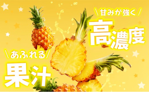 パイナップル ゴールドバレル 約3kg 2～4玉 パイン 果物 フルーツ 沖縄 西表島【TOK:iふぁーむ】配送不可：離島028-a002_2026 【約3kg】　2～4玉