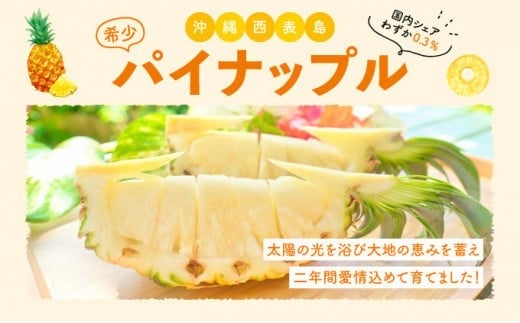 【訳あり】☆新感覚の味わい☆桃のような芳醇な香りのする　『西表島産完熟ピーチパイン』 約1.6kg 約1.6kg
