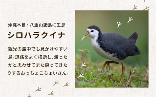 ビームパリ窯　シロハラクイナシリーズ　お茶碗 口径約10.5cm、高約7cm