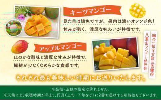 定期便 5回 2026年 先行予約 パイナップル マンゴー 旬果便 農園ファイミール 果物 フルーツ お楽しみ