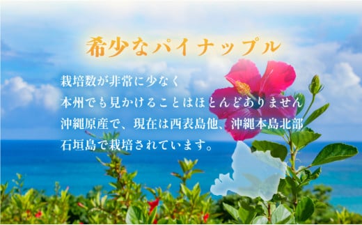 穫れたて新鮮冷凍！西表島の完熟ピーチパイン 3.2kg(400g×8袋)　 嘉本商店 完熟 果物 フルーツ 約3.2kg(400g×8袋)　