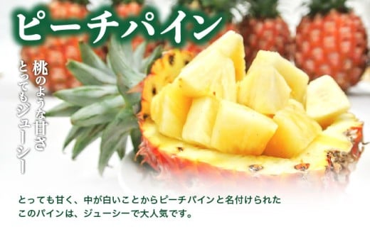 リピート率No.1！パイナップル4種類＆マンゴー＆生ジュースを5回にわけて毎月お届け！