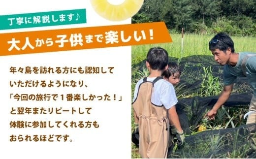 パイナップル収穫体験【2名】爽やかな朝日を浴びた中での開催♪（4月25日～6月15日開催） 2名