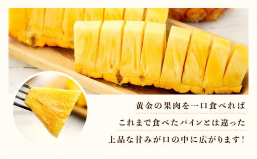 2026年 先行予約 完熟 ゴールドバレル 約3kg 2～4玉入り 最高級 パイン 果物 フルーツ 約3kg (2～4玉入り)