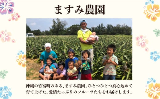 2026年 先行予約 アップルマンゴー 約1kg (2～4玉) 完熟 マンゴー ますみ農園 果物 フルーツ 約1kg（2～4玉）