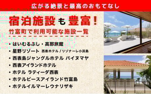 沖縄県竹富町 日本旅行 地域限定旅行クーポン30,000円分（Eメール発行）【チケット 旅行 宿泊券 ホテル 観光 旅行 旅行券 交通費 体験 宿泊 夏休み 冬休み 家族旅行 ひとり カップル 夫婦 親子 トラベルクーポン 竹富町旅行】 30,000円分（Eメール発行）