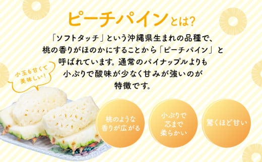 定期便 2ヶ月 2026年 先行予約 ピーチパイン 約3.5kg(4～5玉)×2回 ピーチパイン好きにおすすめ♪ ☆西表島ふる～つらんど☆ 果物 フルーツ 約3.5kg(4～5玉)×2回 