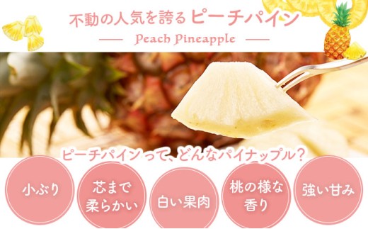 2026年 先行予約 ピーチパイン 約 2.2kg (3玉) ★西表島ふる～つらんど★不動の人気No.1 甘熟 果物 フルーツ パイン 約2.2kg 3玉