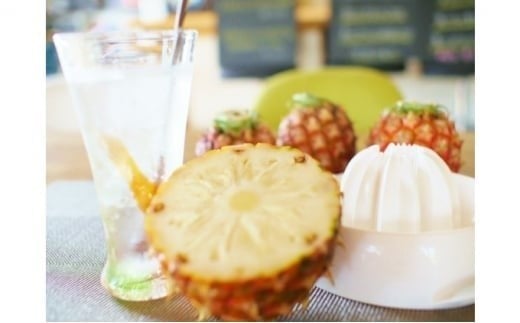 2026年 先行予約 島パイン (ハワイ種) 約3kg (2～3玉) ますみ農園 ”蜜たっぷり” パイン パイナップル 果物 フルーツ 約3kg（2～3玉）