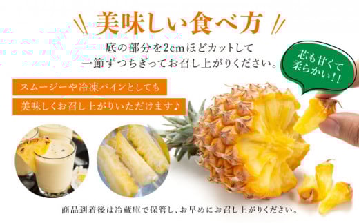 知名度NO.1！糖度が高く真っ黄色な新感覚パイン☆　ちぎって食べるスナックパイン2kg（2～4玉） 約2kg（2～4玉）