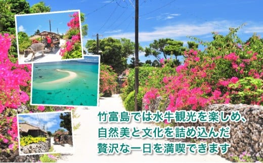 幻の島上陸＋シュノーケリング+竹富島観光ツアー　～珊瑚やカラフルな魚の中をシュノーケリング＜1日／昼食付き／市街地送迎／石垣島発＞【 旅行 体験チケット観光 大自然 体験ツアー 観光 沖縄 アクティビティ シュノーケリング 】