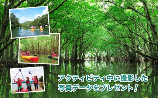 西表島マングローブカヌーツアー　～亜熱帯の自然を半日で満喫　嬉しい昼食付き！＜指定ホテル送迎選択可／石垣島発＞【 旅行 体験チケット観光 大自然 体験ツアー 観光 沖縄 アクティビティ カヌー】