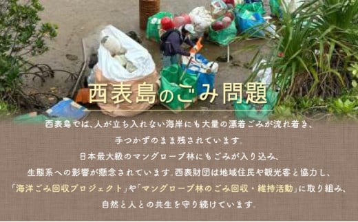 一般財団法人西表財団 10万円