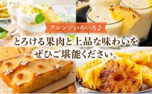 高級感No.1！開発に30年・栽培に3年。パイナップルの最高峰ゴールドバレル2.5kg(2～3玉) 2.5kg(2～3玉)