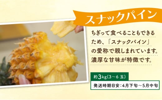 定期便 4回 2026年 先行予約 パイナップル 旬果便 農園ファイミール パイン 4種 果物 フルーツ