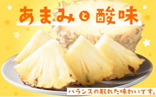 パイナップル ピーチパイン 約2.5kg 2～4玉 パイン 果物 フルーツ 沖縄 西表島【TOK:iふぁーむ】配送不可：離島028-a004_2026 【約2.5kg】 2～4玉