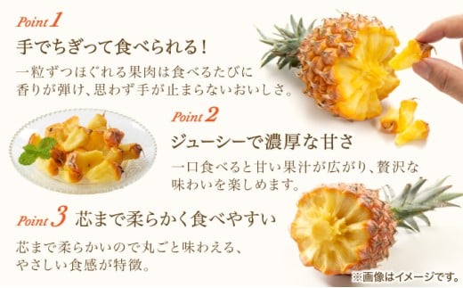 2026年 先行予約 熟鮮スナックパイン2kg （2玉）と甘さをぎゅっと詰め込んだ100％ パイナップルジュース 1本