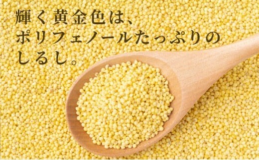 沖縄県波照間島産　日本最南端の島から贈る『もちきび』400g×2袋　とんちぇ農園（農薬・化学肥料不使用）【もちきび 波照間島 沖縄 無農薬 農薬不使用 国産 雑穀】 400g×2袋
