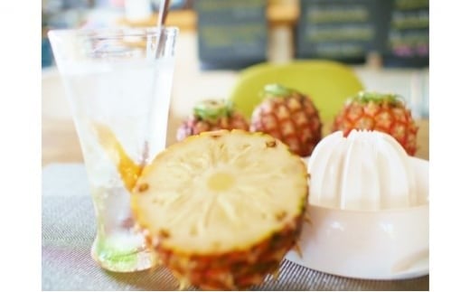 2026年 先行予約 島パイン (ハワイ種) 約5kg (4～6玉) ますみ農園 ”蜜たっぷり” パイン パイナップル 果物 フルーツ 約5kg（4～6玉）