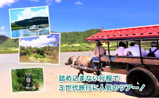 西表島・由布島を巡る日帰りツアー　
～マングローブ遊覧＋水牛車＋由布島たっぷり90分＜石垣島発着／半日／昼食／送迎＞【 旅行 体験チケット観光 大自然 体験ツアー 観光 沖縄 アクティビティ 水牛 牛車 】